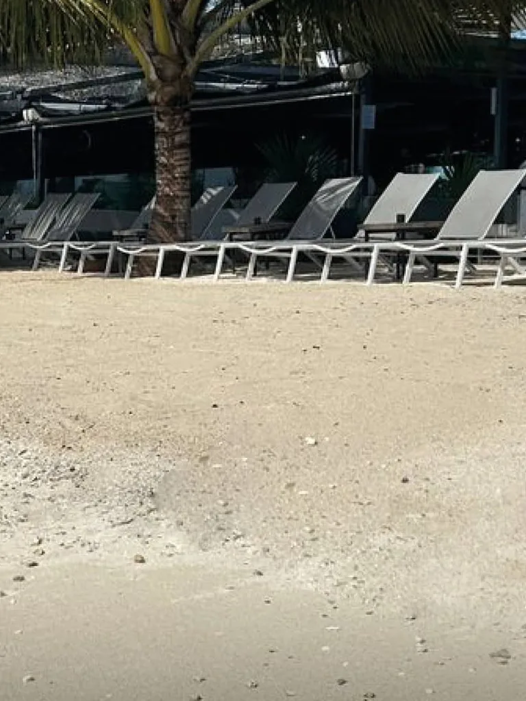 Rangée de transats à l'ombre des palmiers sur la plage d'Eden Beach