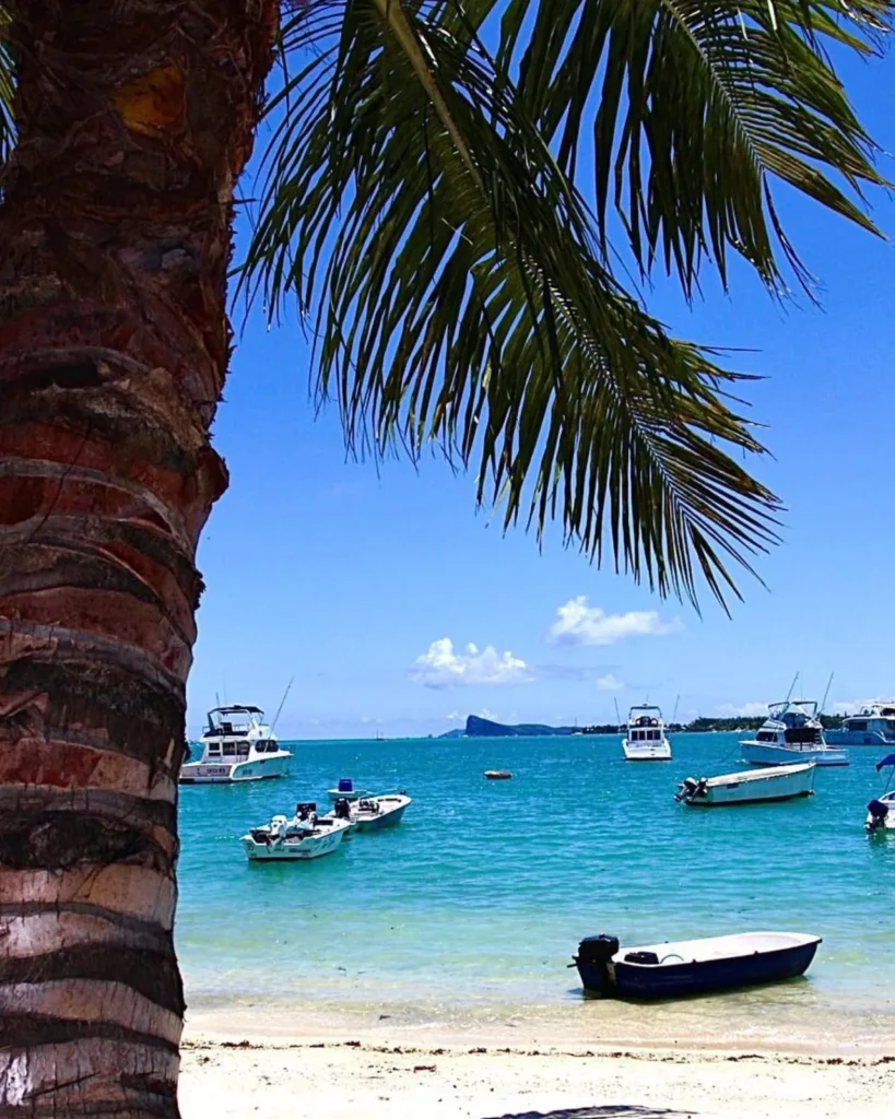 Vue sur le lagon et les bateaux au mouillage depuis l'ombre d'un palmier à Eden Beach