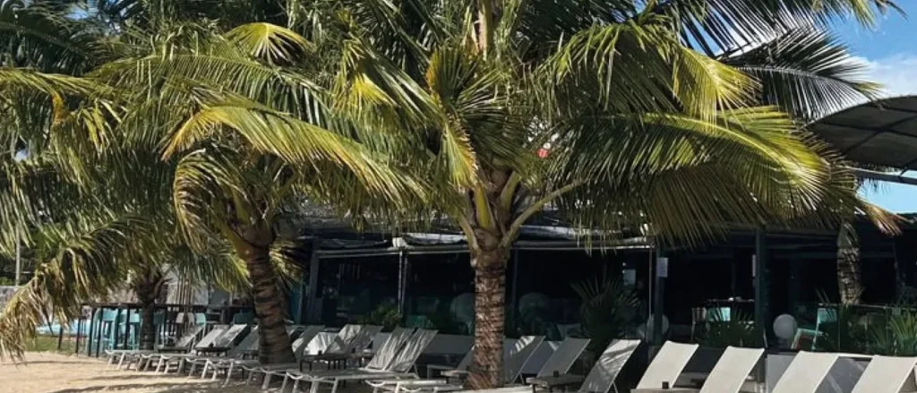 La plage d'Eden Beach bordée de cocotiers et de transats